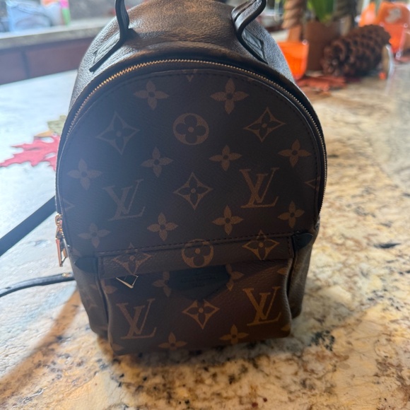 EXCELLENT Louis Vuitton Palm Springs Mini Monogram Backpack - Picture 7 of 8